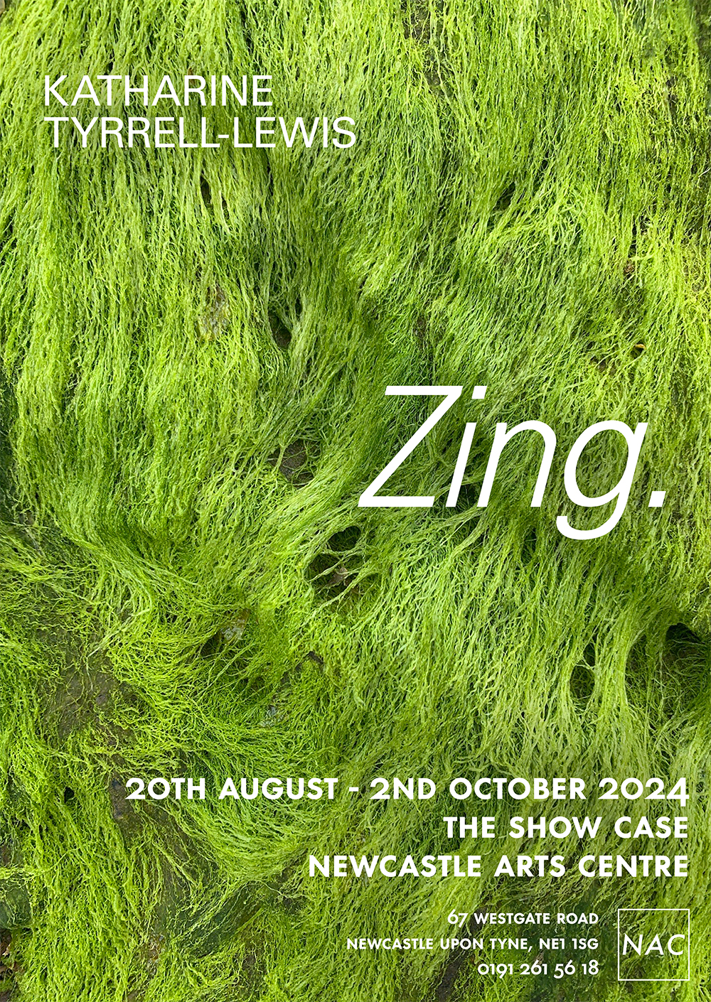 ZING. by Katharine Tyrrell-Lewis