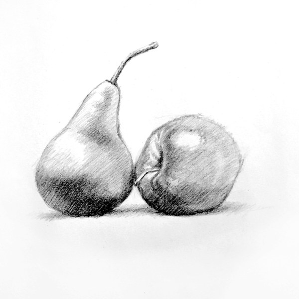 Art Essentials: Basic Drawing Skills (JUL 4TH)