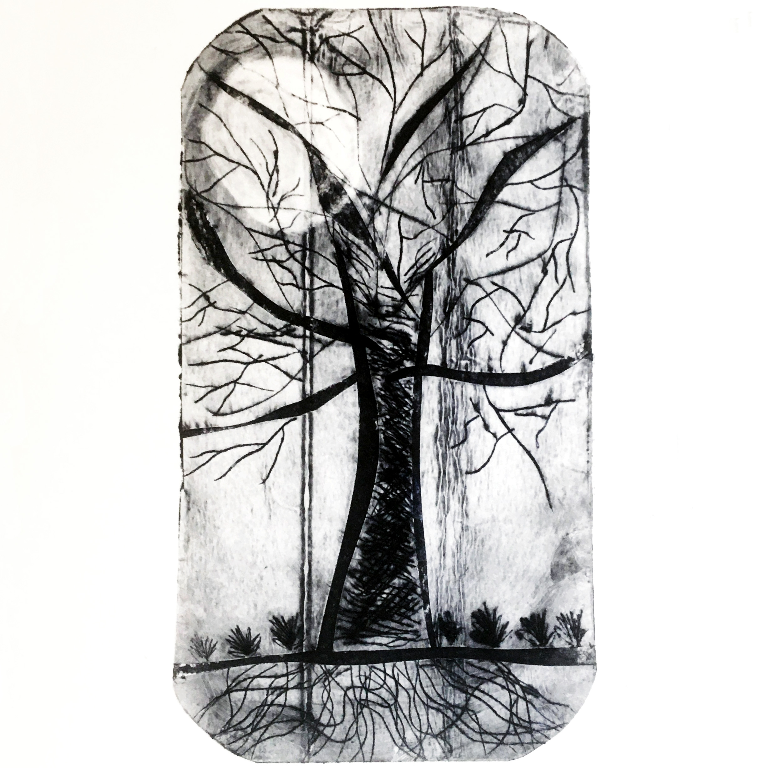 Tetra Pak Printmaking (SEP 19TH) - Image 3