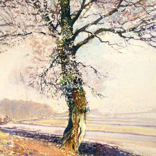 Introduction to Painting in Gouache (JUL 25TH)