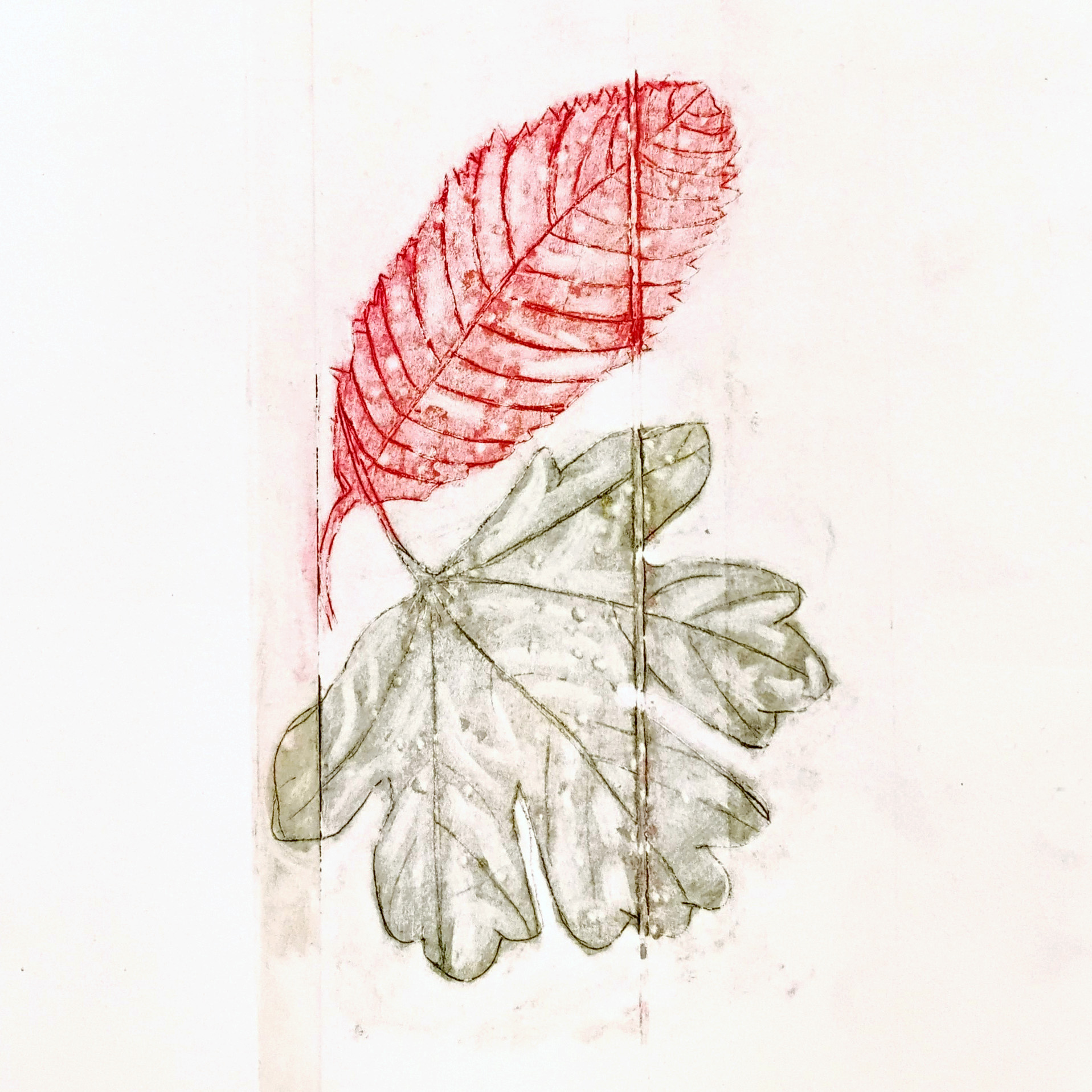 Tetra Pak Printmaking (SEP 19TH)