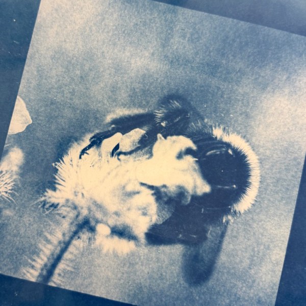 Cyanotype: Alternative Photography (MAY 30TH)