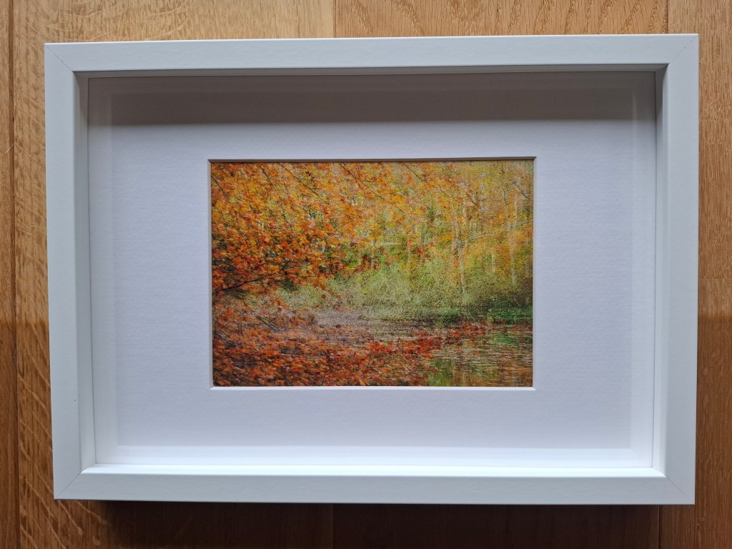 Autumn Reflection_Anita Turner
