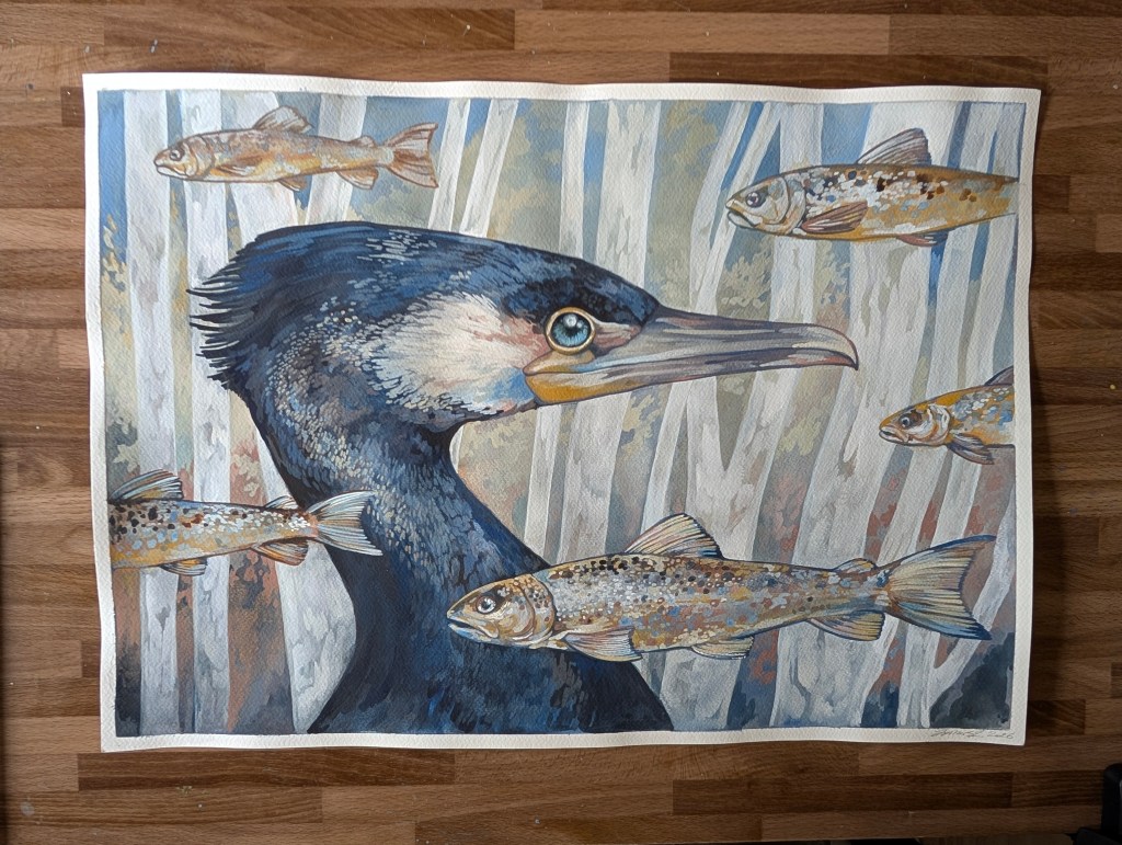Dreams of a Cormorant_Joseph Marsh