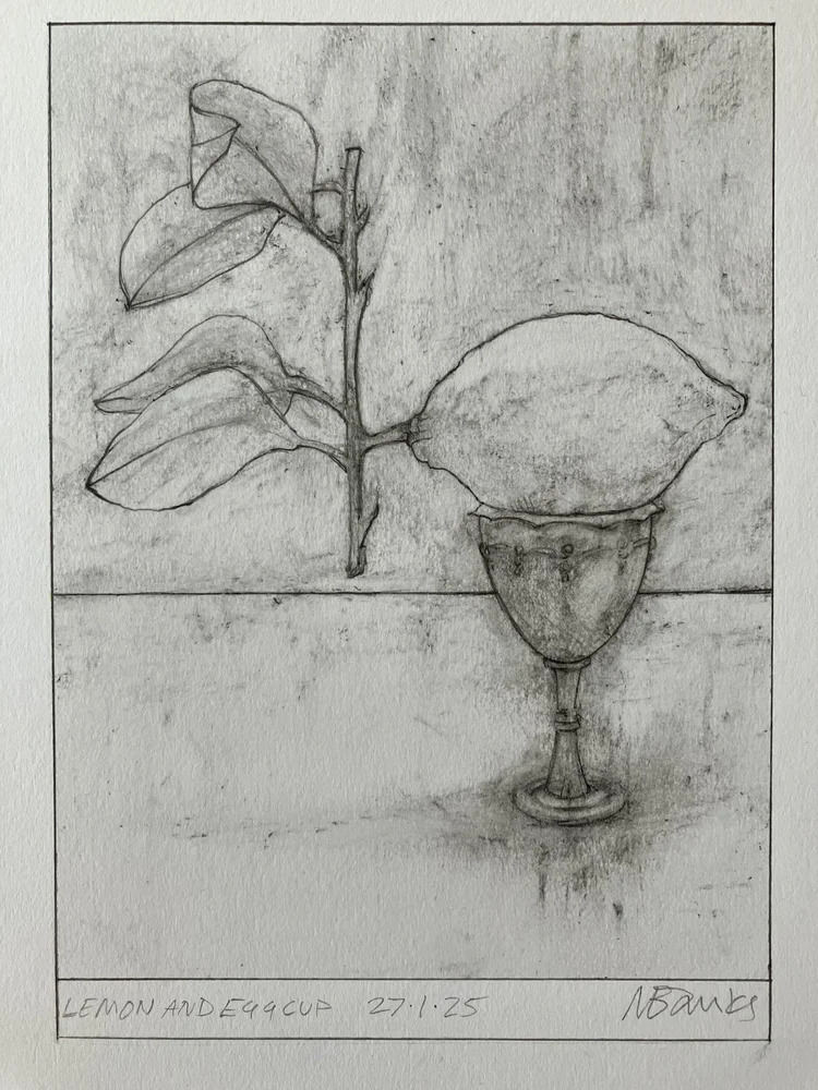 A pencil drawing of a lemon with a long, leafed stalk pointing straight up, balanced in an egg cup.