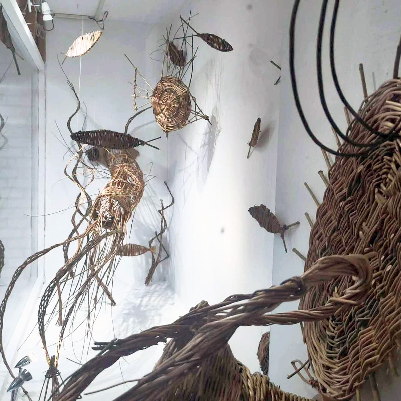 Introduction to Willow Weaving (5 WEEK) - Image 2