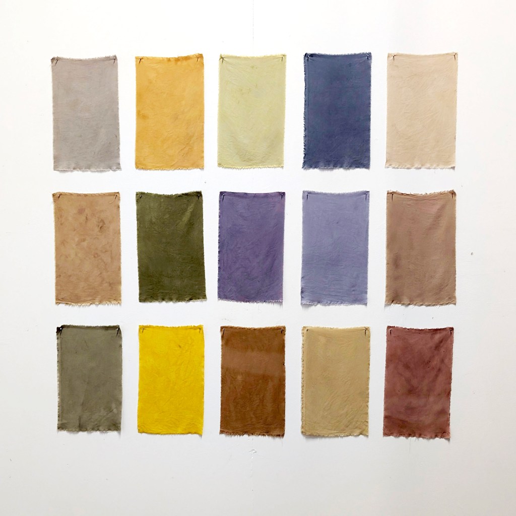 Natural Dyes (FEB 13TH)
